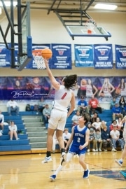 Boys  Basketball Brevard at West Henderson_BRE_6111