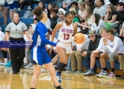 Girls Basketball Brevard at West Henderson_BRE_5569
