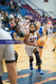 Girls Basketball Brevard at West Henderson_BRE_5571