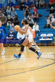 Girls Basketball Brevard at West Henderson_BRE_5585