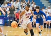 Girls Basketball Brevard at West Henderson_BRE_5602