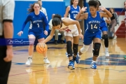 Girls Basketball Brevard at West Henderson_BRE_5614