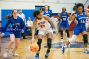 Girls Basketball Brevard at West Henderson_BRE_5615