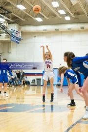 Girls Basketball Brevard at West Henderson_BRE_5725