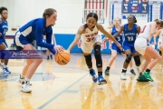 Girls Basketball Brevard at West Henderson_BRE_5729