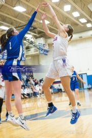 Girls Basketball Brevard at West Henderson_BRE_5734
