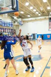 Girls Basketball Brevard at West Henderson_BRE_5740