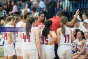 Girls Basketball Brevard at West Henderson_BRE_5751