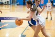 Girls Basketball Brevard at West Henderson_BRE_5755