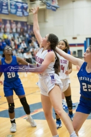 Girls Basketball Brevard at West Henderson_BRE_5757