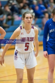 Girls Basketball Brevard at West Henderson_BRE_5765