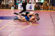 Wrestling - Falcon Frenzy BRE_6502