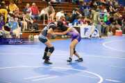 Wrestling - Falcon Frenzy BRE_6526
