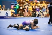 Wrestling - Falcon Frenzy BRE_6535