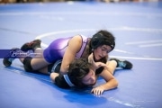 Wrestling - Falcon Frenzy BRE_6538