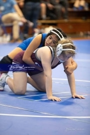 Wrestling - Falcon Frenzy BRE_6562