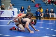 Wrestling - Falcon Frenzy BRE_6623