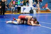 Wrestling - Falcon Frenzy BRE_6637