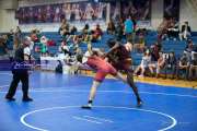 Wrestling - Falcon Frenzy BRE_6670