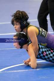 Wrestling - Falcon Frenzy BRE_6741