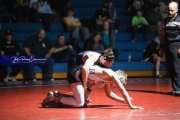 Wrestling - Falcon Frenzy BRE_7055