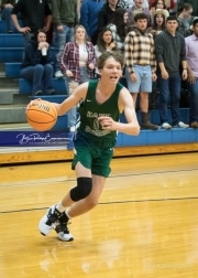 Basketball East Henderson at West Henderson_BRE_8049