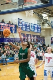 Basketball East Henderson at West Henderson_BRE_8056