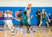 Basketball East Henderson at West Henderson_BRE_8096