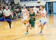Basketball East Henderson at West Henderson_BRE_8125