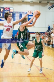 Basketball East Henderson at West Henderson_BRE_8169