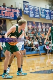 Basketball East Henderson at West Henderson_BRE_8390