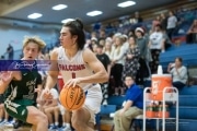 Basketball East Henderson at West Henderson_BRE_8471