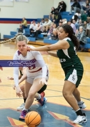 Basketball East Henderson at West Henderson_BRE_7815