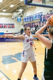 Basketball East Henderson at West Henderson_BRE_7827