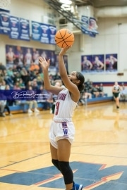 Basketball East Henderson at West Henderson_BRE_7917