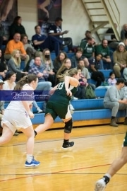 Basketball East Henderson at West Henderson_BRE_7925