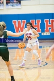 Basketball East Henderson at West Henderson_BRE_7944