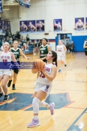 Basketball East Henderson at West Henderson_BRE_7947