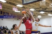 Basketball: Hendersonville v North Hendreson BRE_0318