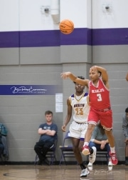 Basketball: Hendersonville v North Hendreson BRE_0342