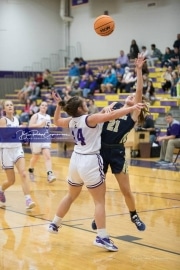 Basketball: TC Roberson v Mitchell Tournament BRE_9612