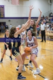 Basketball: TC Roberson v Mitchell Tournament BRE_9717