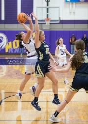 Basketball: TC Roberson v Mitchell Tournament BRE_9815
