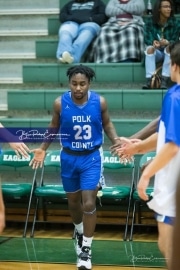 Basketball: Polk County at East Henderson BRE_2114