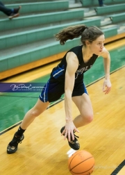 Basketball: Polk County at East Henderson BRE_1809