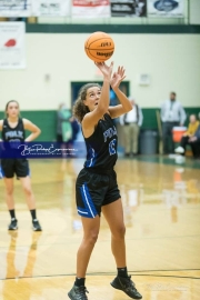 Basketball: Polk County at East Henderson BRE_1818
