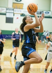 Basketball: Polk County at East Henderson BRE_1826