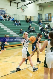 Basketball: Polk County at East Henderson BRE_1894