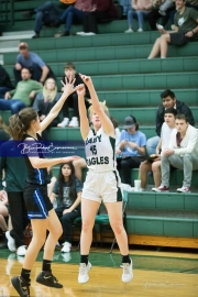 Basketball: Polk County at East Henderson BRE_1903