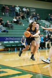 Basketball: Polk County at East Henderson BRE_1924